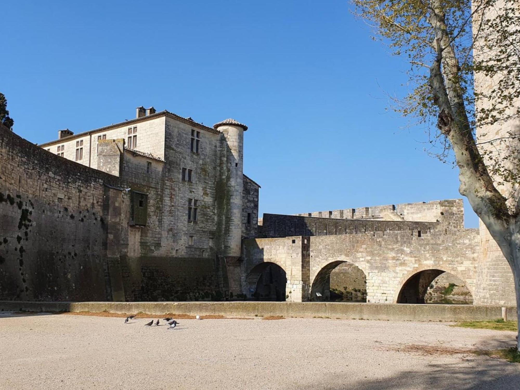 Maison Cosy, 2 Chambres, Adossee Aux Remparts Aigues-Mortes Kültér fotó